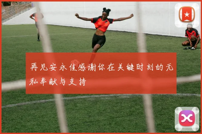 再见安永佳感谢你在关键时刻的无私奉献与支持