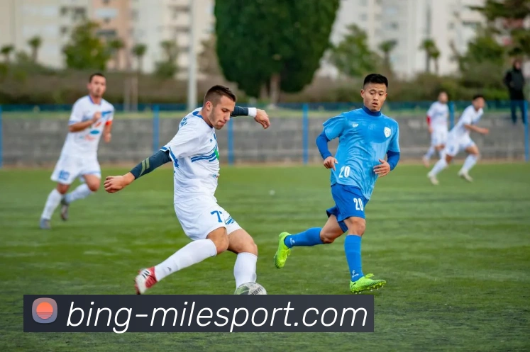 米乐体育全站App